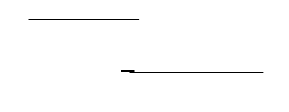 Next Level Growth Strategies WHT LOGO